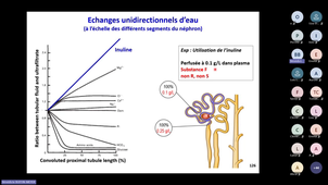 CM3 Physio rénale, L3 BCP-20261015_074643-Enregistrement de la réunion (2).mp4