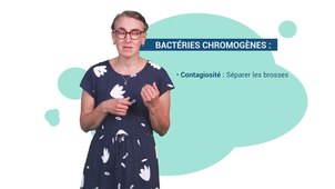4.2.2 Odontologie pédiatrique